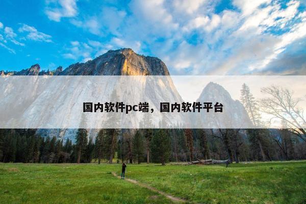 国内软件pc端，国内软件平台