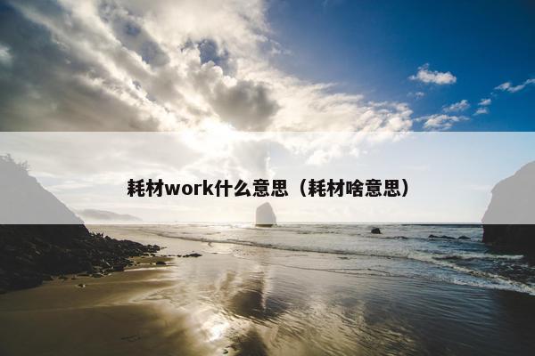耗材work什么意思（耗材啥意思）