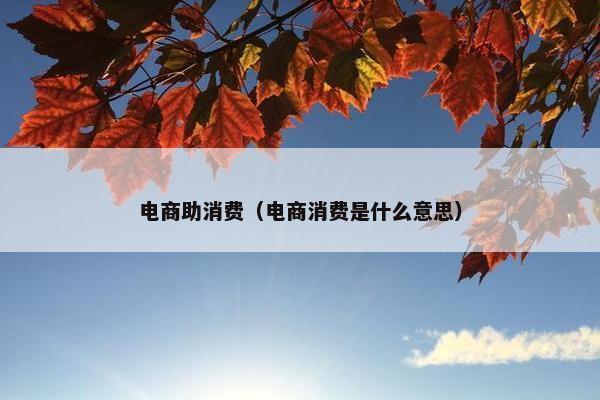 电商助消费（电商消费是什么意思）