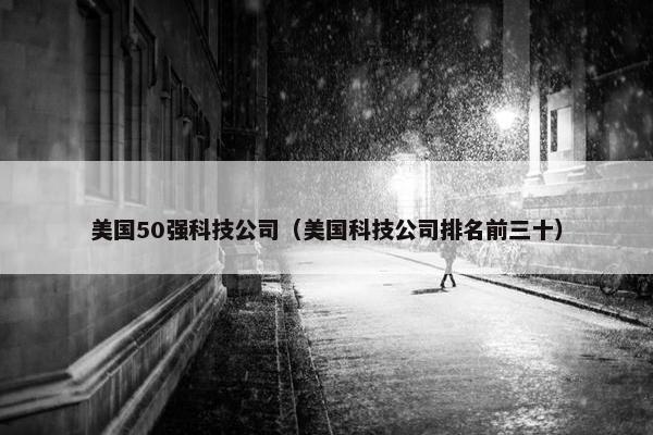 美国50强科技公司（美国科技公司排名前三十）