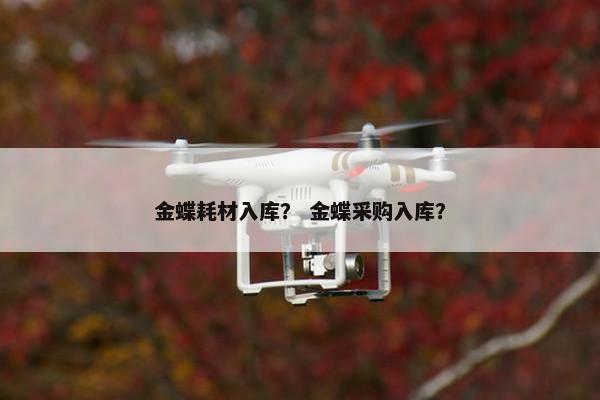 金蝶耗材入库？ 金蝶采购入库？