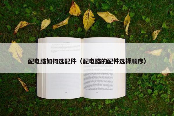 配电脑如何选配件（配电脑的配件选择顺序）