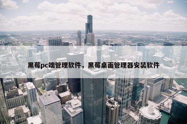 黑莓pc端管理软件，黑莓桌面管理器安装软件