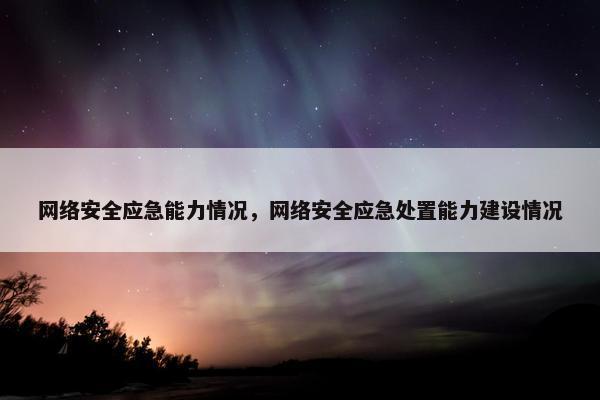 网络安全应急能力情况，网络安全应急处置能力建设情况
