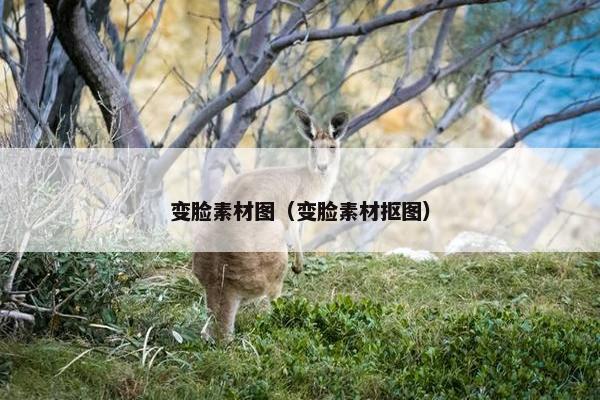 变脸素材图（变脸素材抠图）