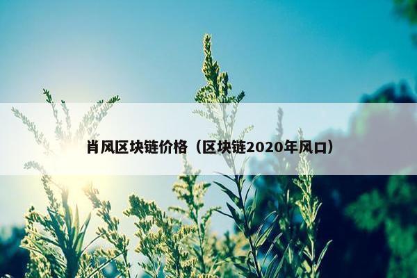 肖风区块链价格（区块链2020年风口）