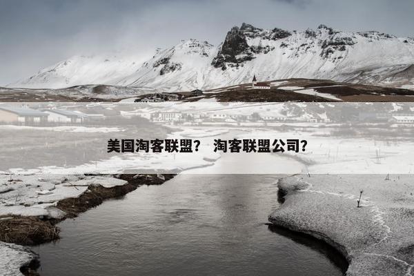 美国淘客联盟？ 淘客联盟公司？
