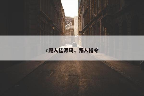 c踢人挂源码，踢人指令