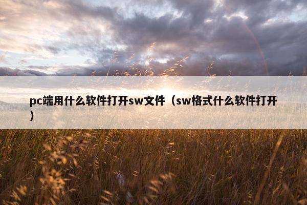 pc端用什么软件打开sw文件（sw格式什么软件打开）