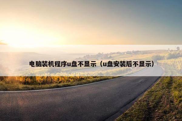 电脑装机程序u盘不显示（u盘安装后不显示）
