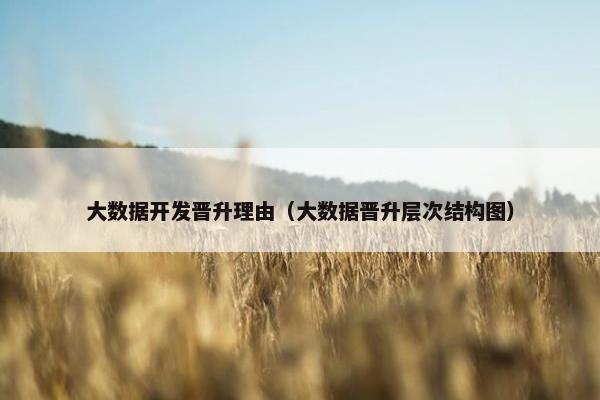 大数据开发晋升理由（大数据晋升层次结构图）
