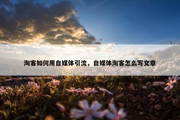 淘客如何用自媒体引流，自媒体淘客怎么写文章