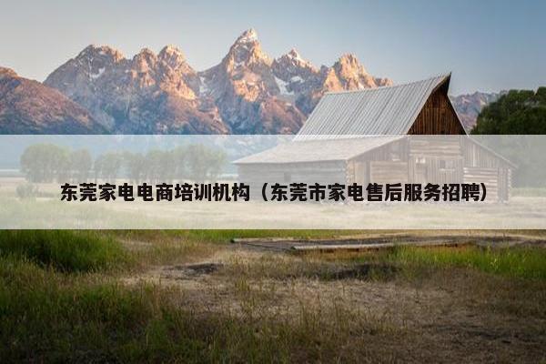 东莞家电电商培训机构（东莞市家电售后服务招聘）