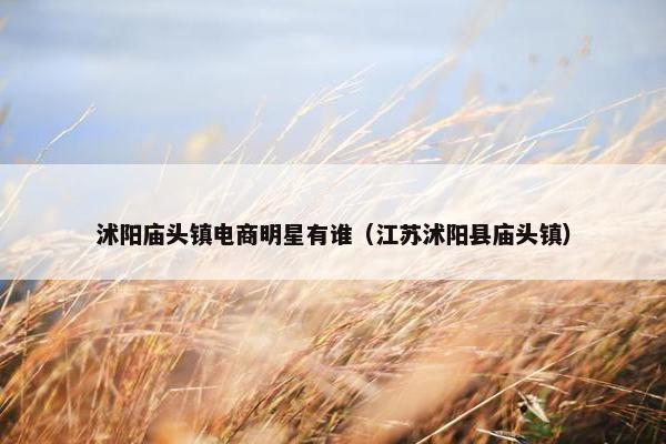沭阳庙头镇电商明星有谁（江苏沭阳县庙头镇）