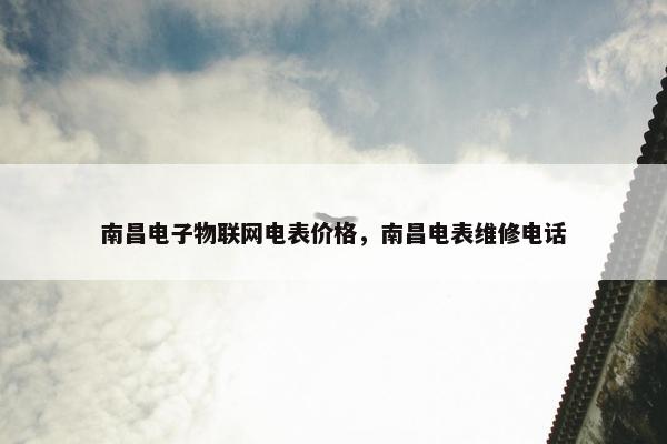 南昌电子物联网电表价格，南昌电表维修电话
