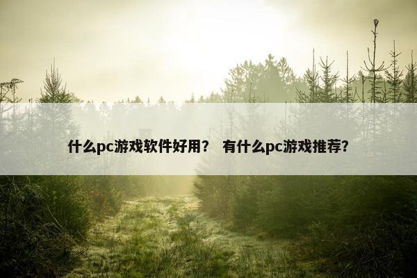 什么pc游戏软件好用？ 有什么pc游戏推荐？