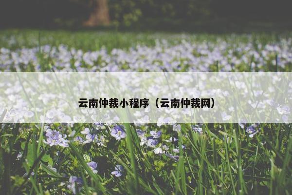 云南仲裁小程序（云南仲裁网）