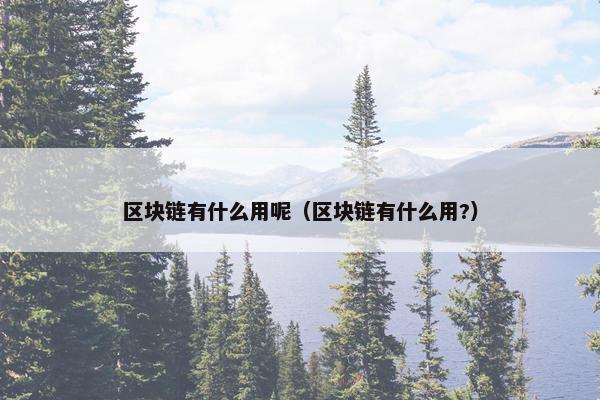 区块链有什么用呢（区块链有什么用?）