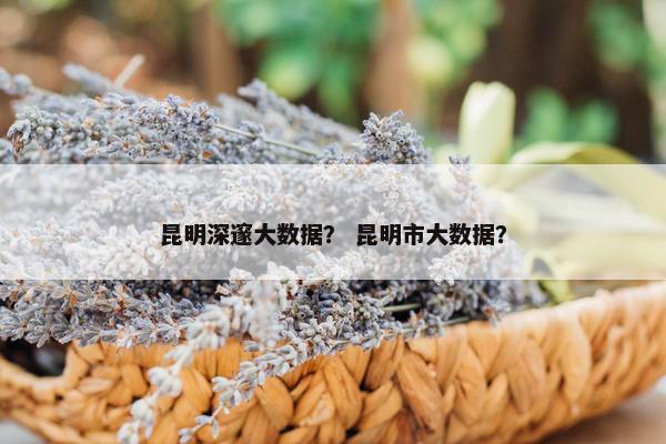 昆明深邃大数据？ 昆明市大数据？