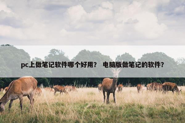 pc上做笔记软件哪个好用？ 电脑版做笔记的软件？