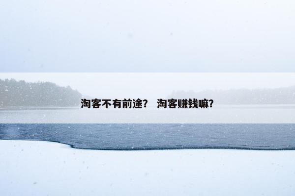 淘客不有前途？ 淘客赚钱嘛？