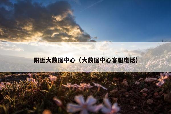 附近大数据中心（大数据中心客服电话）