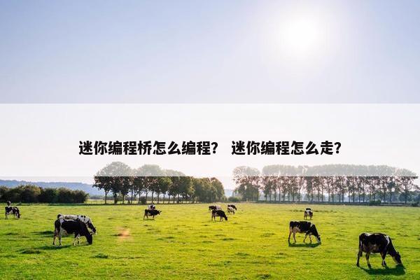 迷你编程桥怎么编程？ 迷你编程怎么走？