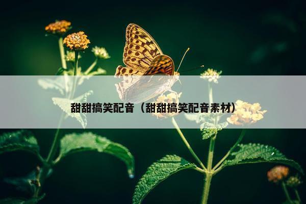 甜甜搞笑配音（甜甜搞笑配音素材）