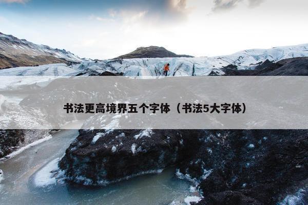 书法更高境界五个字体（书法5大字体）