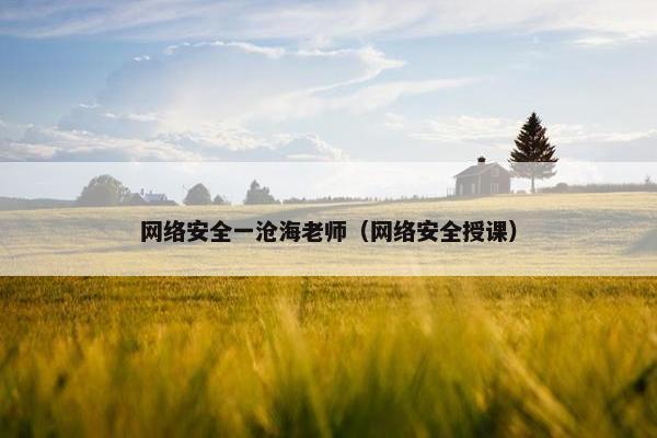 网络安全一沧海老师（网络安全授课）