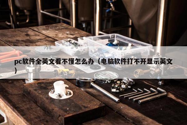 pc软件全英文看不懂怎么办（电脑软件打不开显示英文）