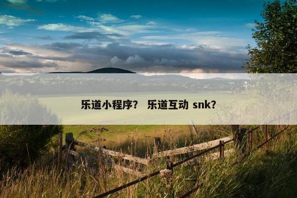 乐道小程序？ 乐道互动 snk？