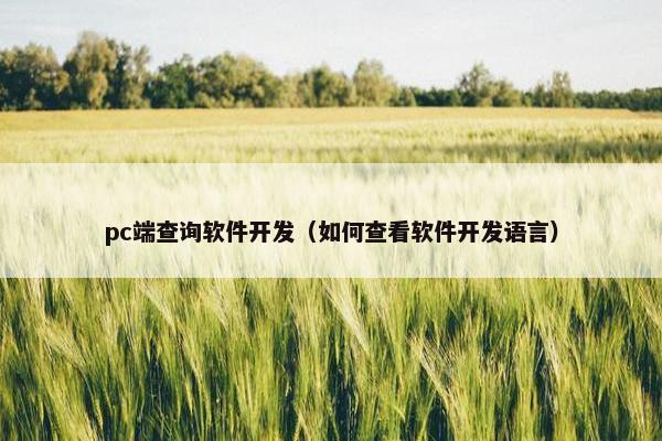 pc端查询软件开发（如何查看软件开发语言）