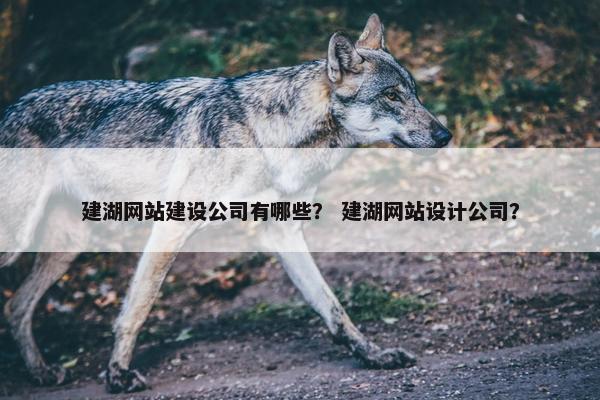 建湖网站建设公司有哪些？ 建湖网站设计公司？