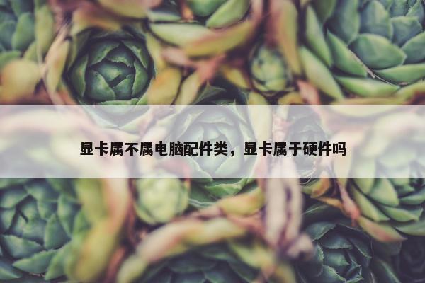 显卡属不属电脑配件类，显卡属于硬件吗