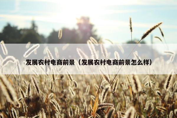发展农村电商前景（发展农村电商前景怎么样）