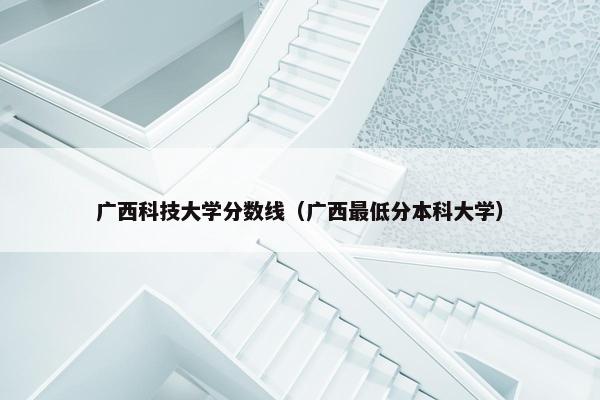 广西科技大学分数线（广西最低分本科大学）