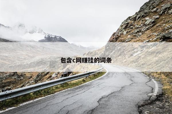 包含c网赚挂的词条