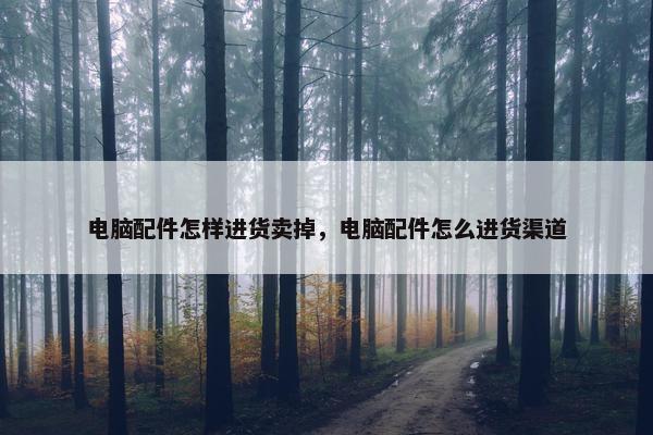 电脑配件怎样进货卖掉，电脑配件怎么进货渠道