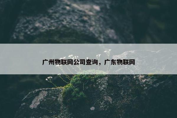 广州物联网公司查询，广东物联网