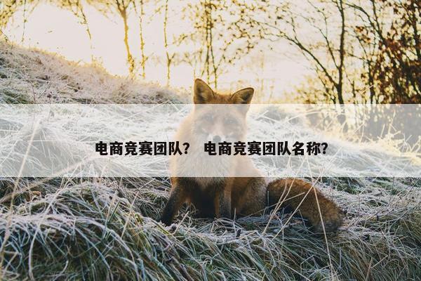 电商竞赛团队？ 电商竞赛团队名称？