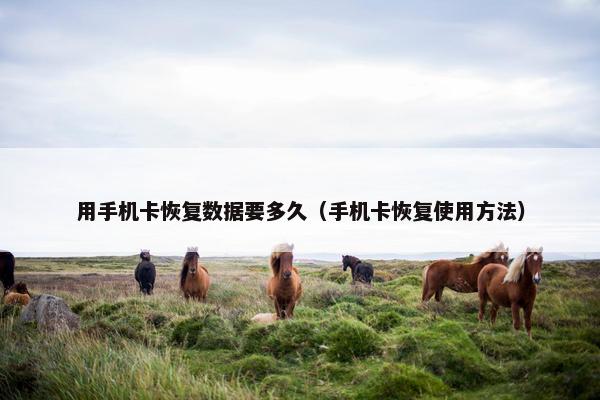 用手机卡恢复数据要多久（手机卡恢复使用方法）