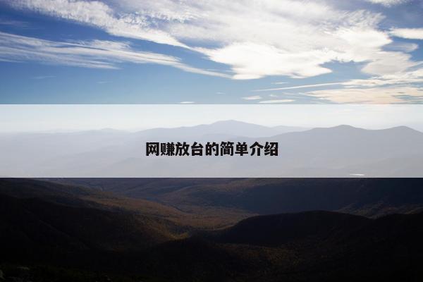 网赚放台的简单介绍