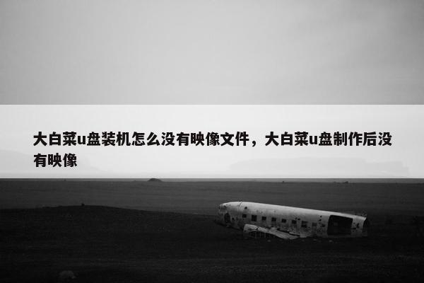 大白菜u盘装机怎么没有映像文件，大白菜u盘制作后没有映像
