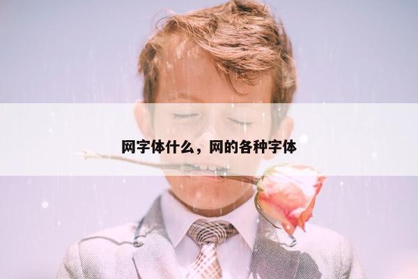 网字体什么，网的各种字体