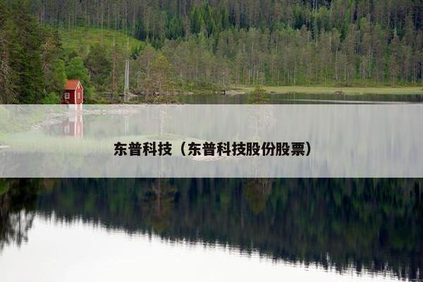 东普科技（东普科技股份股票）