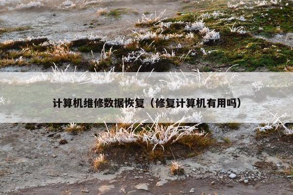 计算机维修数据恢复（修复计算机有用吗）