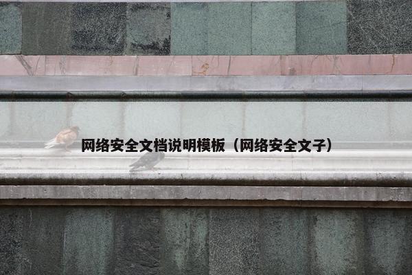 网络安全文档说明模板（网络安全文子）