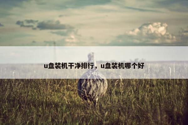 u盘装机干净排行，u盘装机哪个好