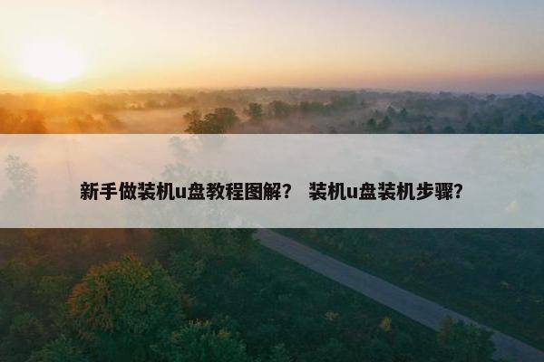 新手做装机u盘教程图解？ 装机u盘装机步骤？